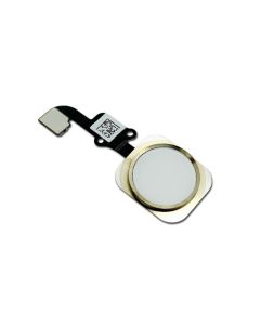 Home Button Flex for iPhone 6 / 6 Plus (Gold)