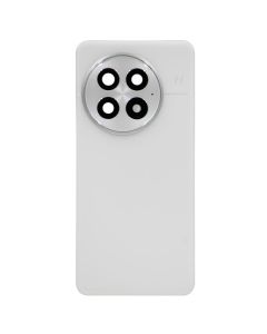 Back Cover w/ Adhesive / Camera Lens for OnePlus 13  (Arctic Dawn)