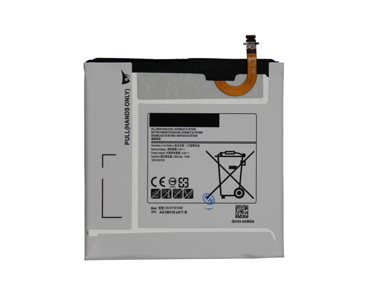 main product photo
